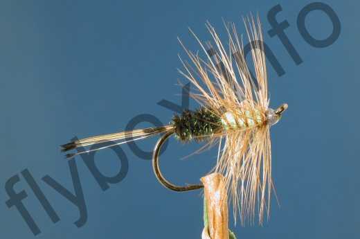 Fish4Flies Dutch Panama